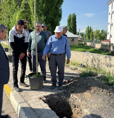 Patnos Belediye Başkanı Abdulhalik Taşkın Fidan Dikim Çalışmalarını Yerinde İnceledi