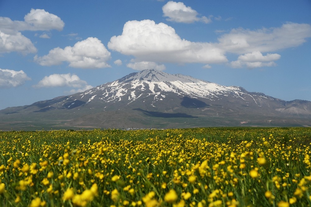 Süphan Dağı